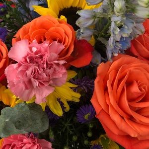 Meet your Posher, Lori